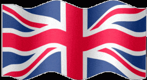 N One Disposable Nic Salt Pod