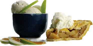 Gambit Saltnic - Five Pawns Gambit Saltnic - Five Pawns