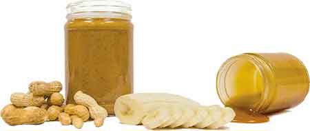 Grandmaster Saltnic - Five Pawns Grandmaster - Five Pawns